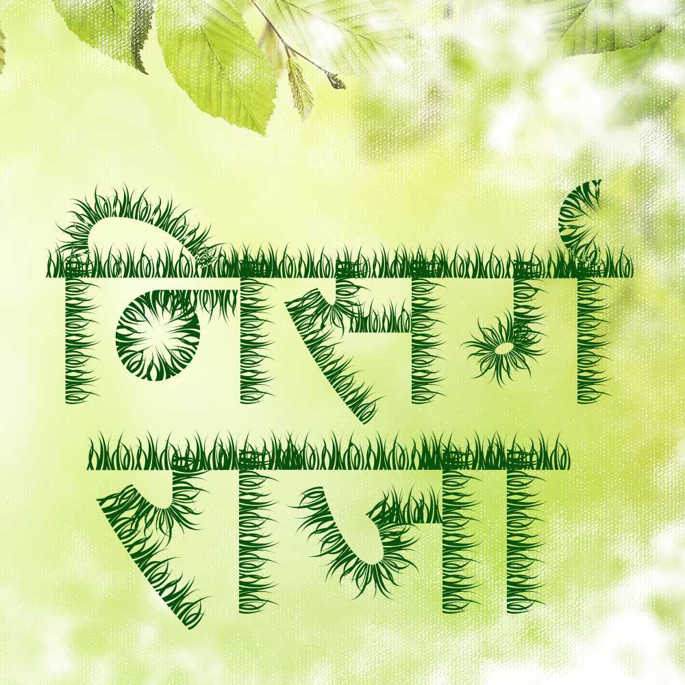 AMS Grass font design inspiration and usage example