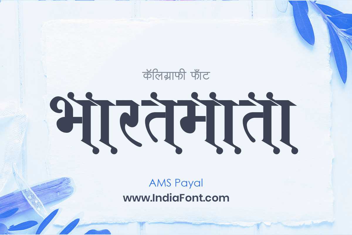 AMS Payal typography showcase and design sample