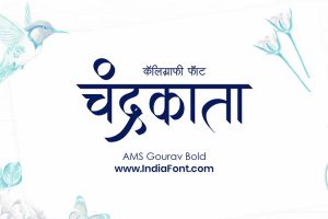AMS Gourav Bold