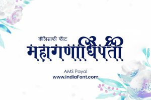 AMS Payal
