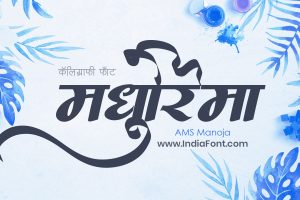 AMS FONTS BUNDLE - Image 3